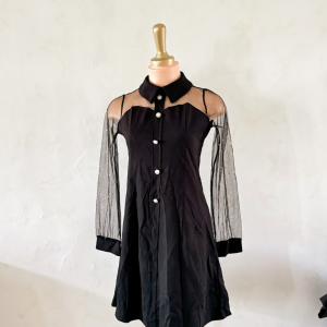 Vintage Mesh Puff Sleeve Semi-Sheer Korean Dress